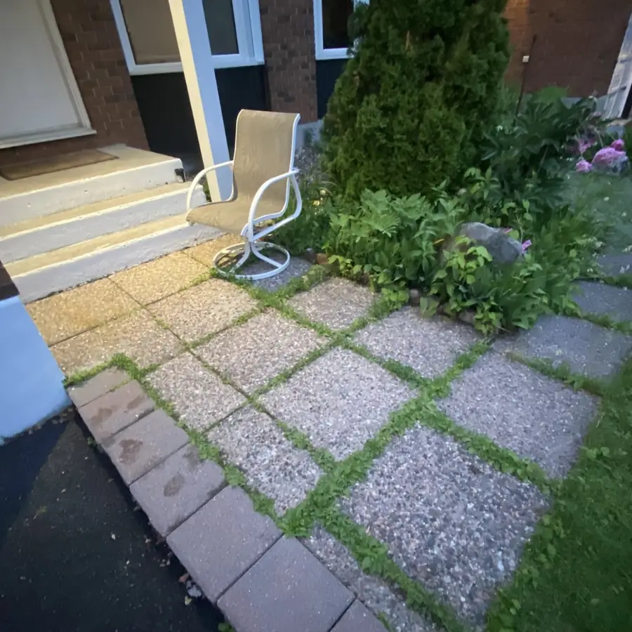 An old walkway of square pavers with grass and gravel between them, beside a front step and shrubs